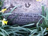 image of grave number 143250